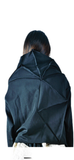 Phenotypsetter Hexagon top
